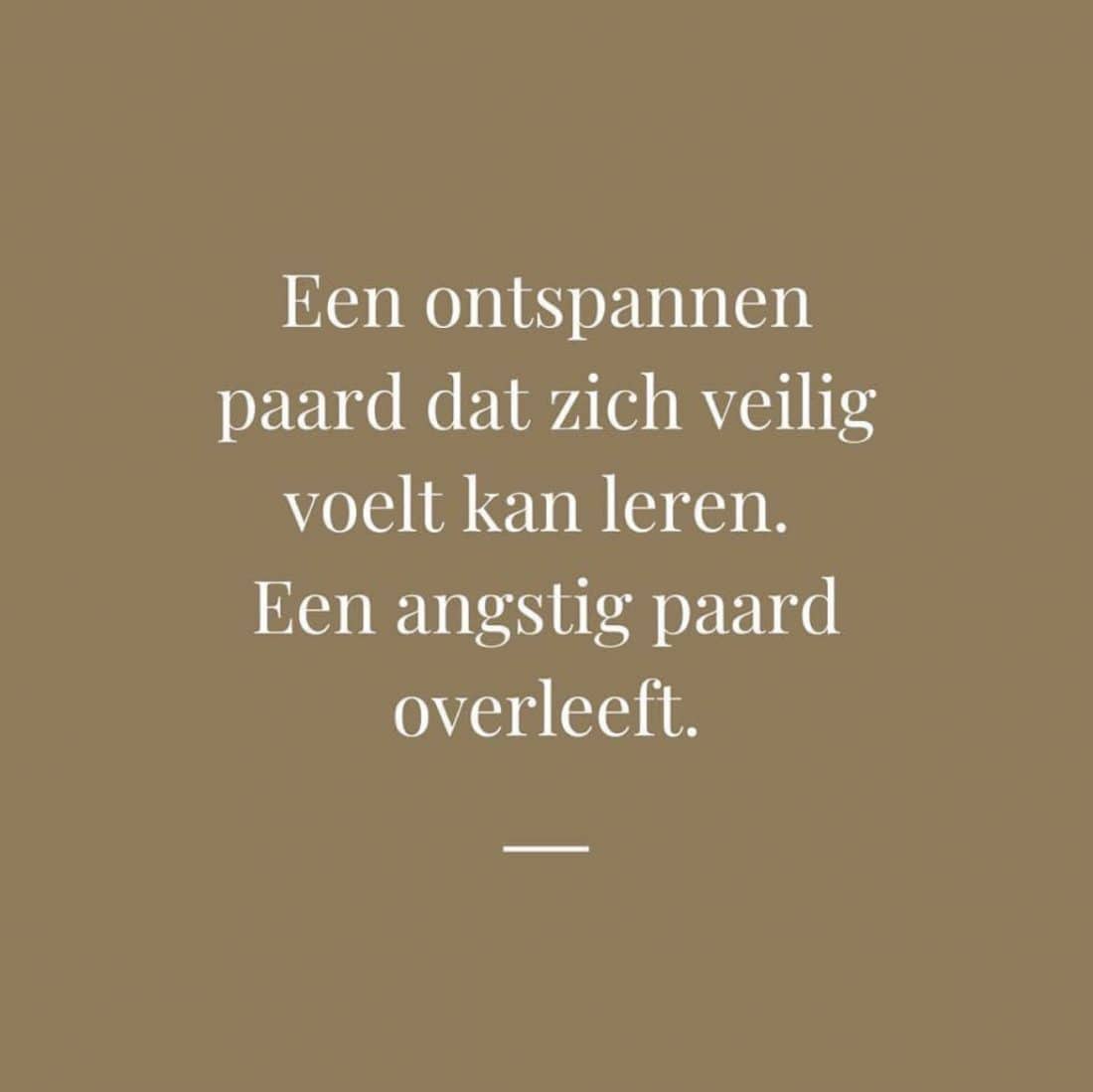 Vanuit Ontspanning Is Er Ruimte Om Te Leren