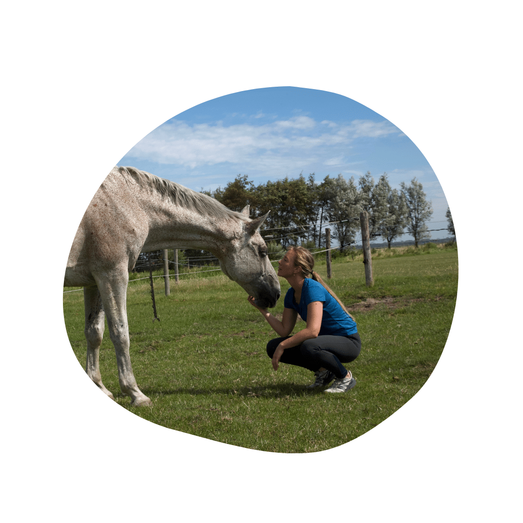 Cursus Verbind Je Met De Wijsheid Van Jouw Paard